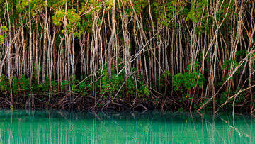 Tiwi Islands