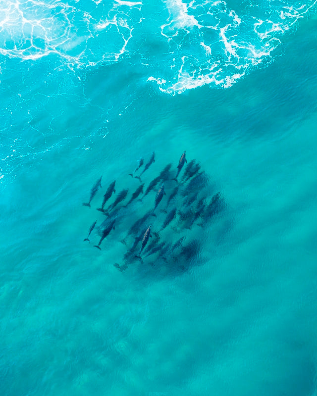 Together As One, Wind Farm, Albany WA