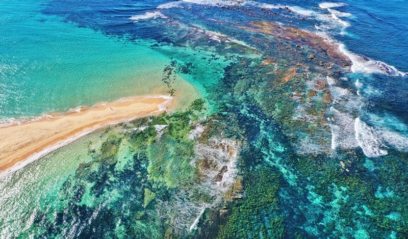 Toowoon Bay Adventures