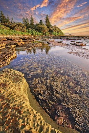 Toowoon Bay Tale