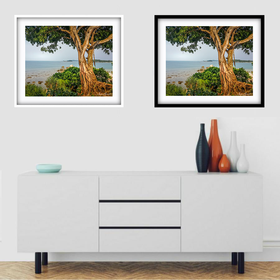 Tree on the Beach 2