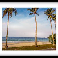 Tree on the Beach 3