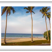 Tree on the Beach 3