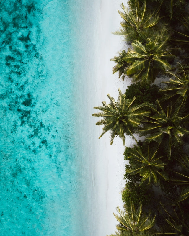 Tropical Hues