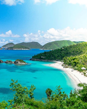 Tropical Bliss
