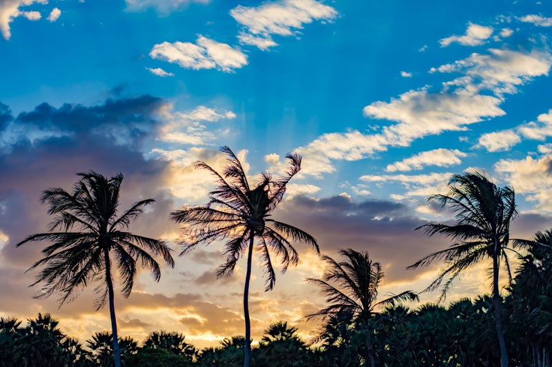 Tropical Sunset