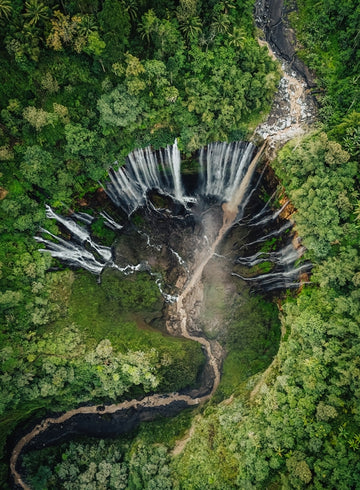 Tree of Life Waterfall in Java, Indonesia