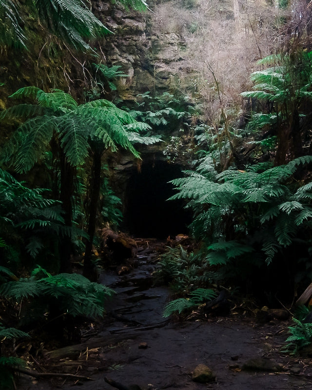 Tunnel vision