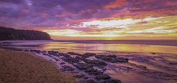 Turimetta Sunrise