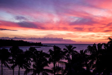 Turtle Bay Hawaii Sunset