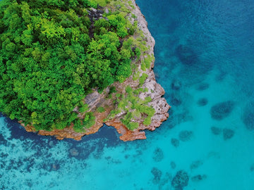 Turtle Island
