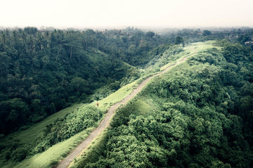 UBUD