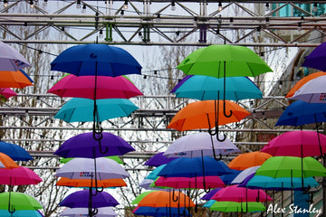 Umbrellas