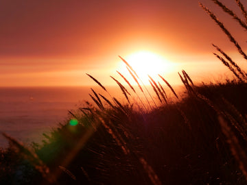 Unreal Sunset