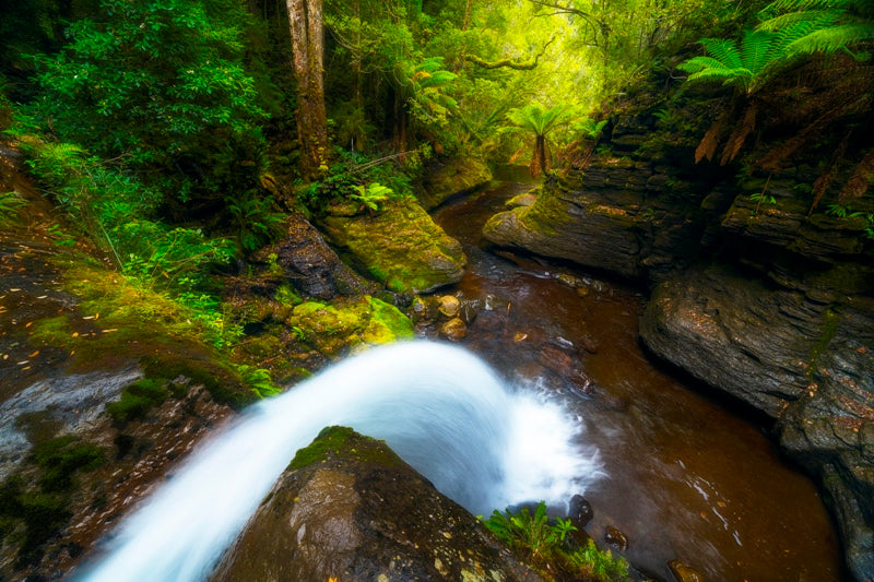 Upper Liffey Falls Tasmania