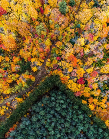 Upper Penninsula Fall