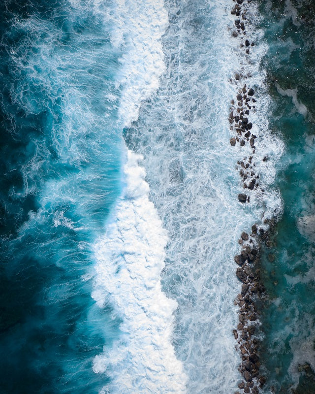 VITAMIN SEA