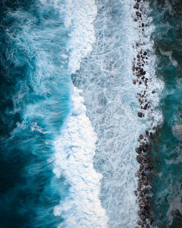 VITAMIN SEA