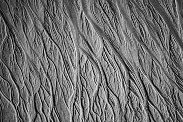 Veins of the ocean