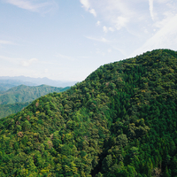 View from above the Kumano Kodo Trail, Shingu, Kinki Region, Japan
