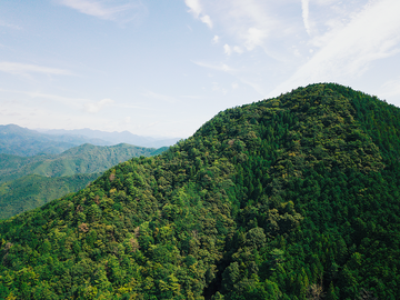 View from above the Kumano Kodo Trail, Shingu, Kinki Region, Japan