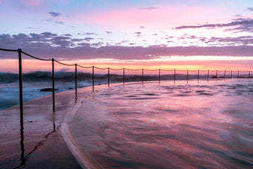 Vivid Bronte