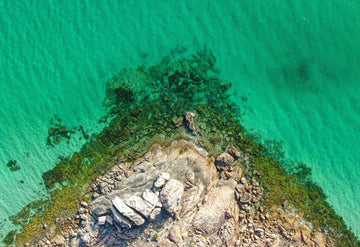 WA Coastal Colours