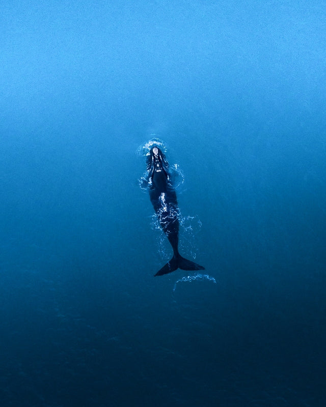 WHALE!