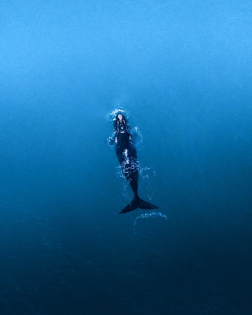 WHALE!