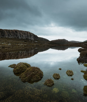 Winter Reflections