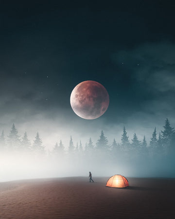 Warewolf