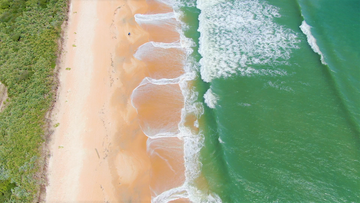 Waves