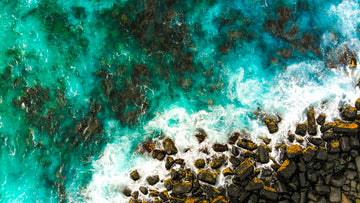 Waves Life