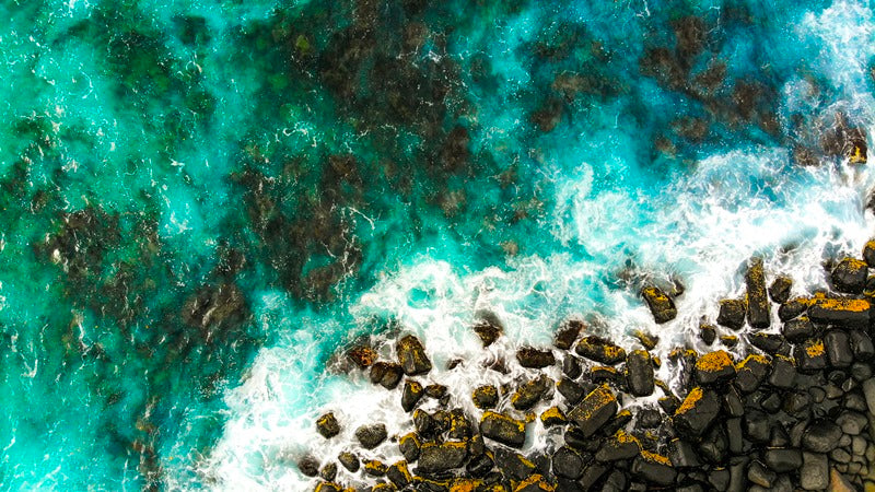 Waves Life
