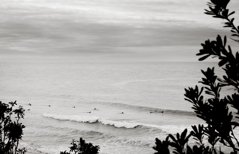 Waves of Warriewood