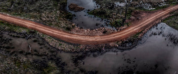 Wetlands Track