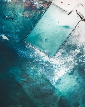 Where Gary Swims