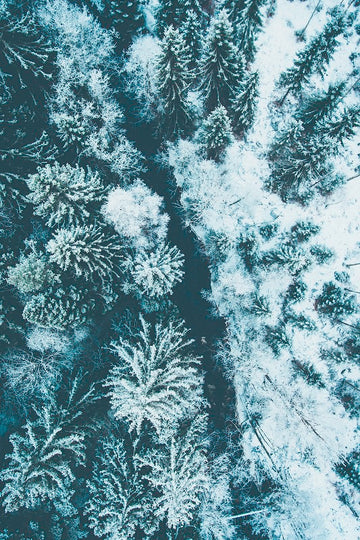 Winter River