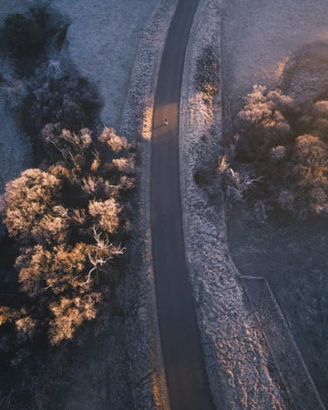 Winter Strolls