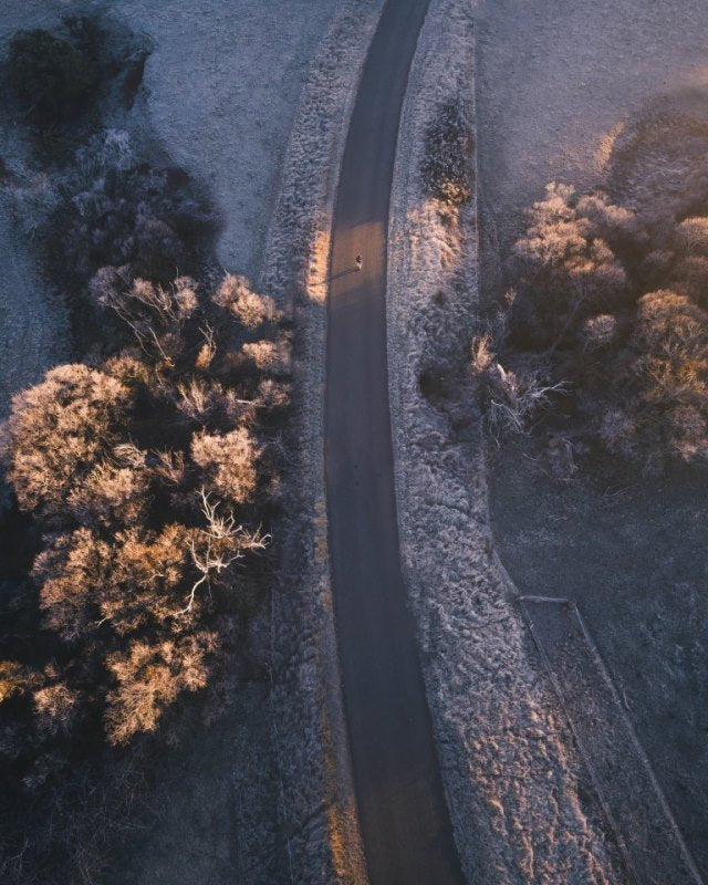 Winter Strolls