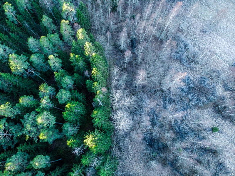 Winter comes in many shades