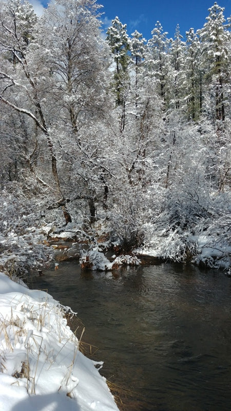 Winterday in Arizona