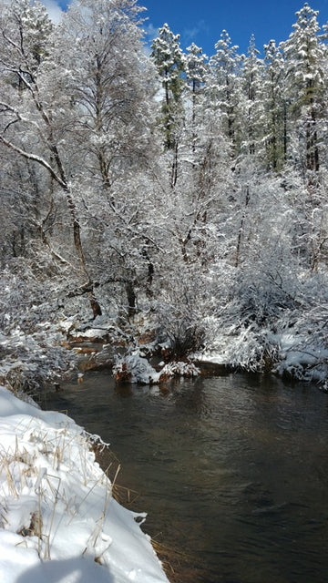 Winterday in Arizona