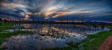Winton Wetlands