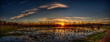 Winton Wetlands 2