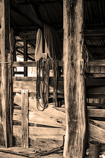 Wool Shed
