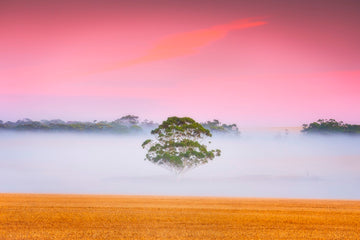 Yorke Peninsula South Australia
