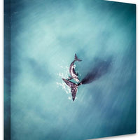 Whales Perth