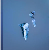 Ice Bergs