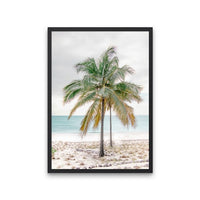 Percy Palm